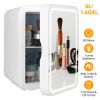 6L/1.6GAL Portable Beauty Fridge Mini Cosmetic Refrigerator AC/DC Skincare Makeup Cooler Warmer with Mirror Door 3-Brightness Light for Bedroom Travel