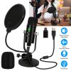 USB Condenser Microphone Set Professional Cardioid Studio Mic w/ Pop Filter Type-C Adapter for Computer Phone Recording Streaming Gaming